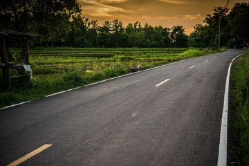 asphalt road. local road