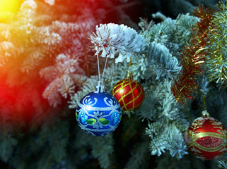 Obraz na płótnie Canvas Christmas Tree Branch