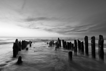 Black and white photography of the sky and sea at sunset with old wooden breakwater pales at Curonian spit, Russia, Kaliningrad
