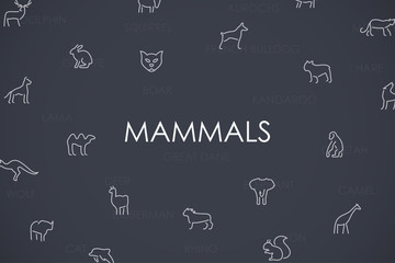 Mammals Thin Line Icons