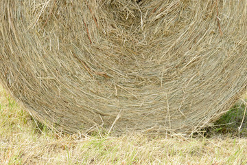 stubble field with hay bales