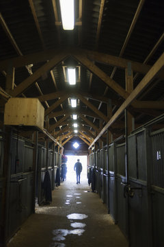 Interior of stable, silhouette of man in distance