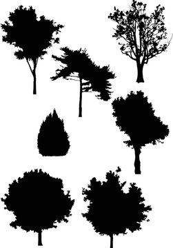 seven isolated different trees black silhouettes
