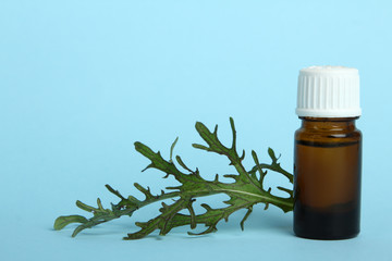essential oil from leaf of dandelion on blue background