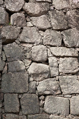 丸亀城のサクラ