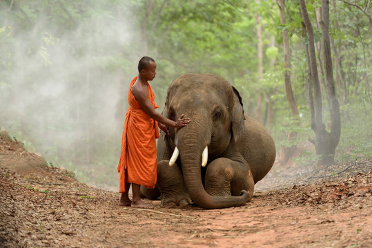 monk and elephant