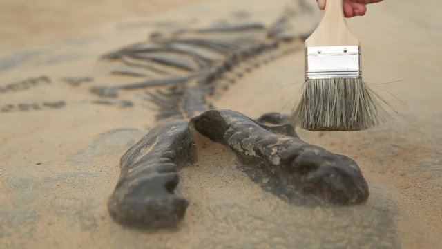 Archaeological excavation of dinosaur bones, children playing in educational game