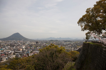 Obraz premium 丸亀城から見た丸亀市の街並