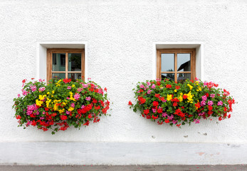 Fototapeta na wymiar Two windows with flowers of traditional alpine house in Austria