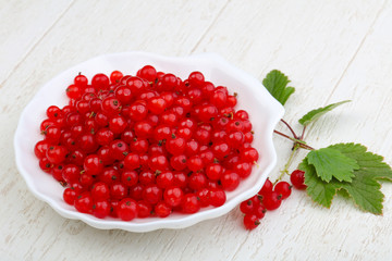 Red currants