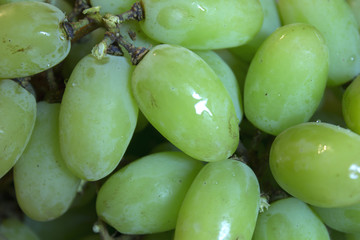This is a photograph of Green Grapes
