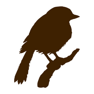 recommend clip art: Bird. Vector drawing