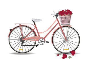 Fototapeta na wymiar Bicycle with flowers isolated on white, Vector illustration