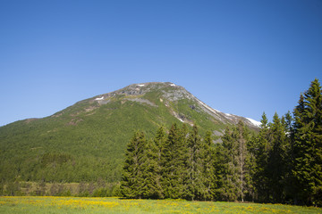 landscape in Norway
