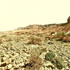 Fototapeta na wymiar Stone Desert