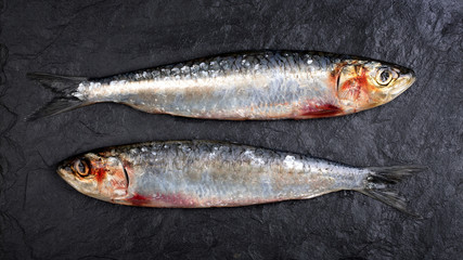 Sardines on slate background