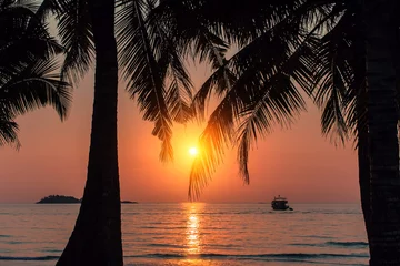 Fotobehang Zonsondergang aan zee Beautiful blood-red sunset on the coast through palm leaves.
