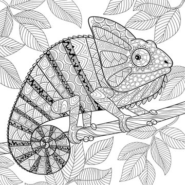 Chameleon in zentangle style. Adult antistress coloring page. Black and white hand drawn doodle for coloring book