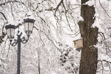 Bird house on the tree