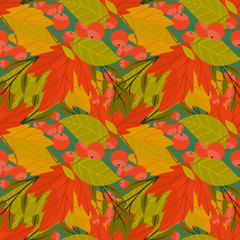 Autumn background with fall leaf vector illustration