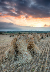 Barley Stooks © Helen Hotson