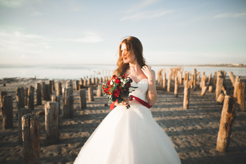 Fototapeta na wymiar Romantic beautiful bride in white dress posing on the background sea and wooden poles