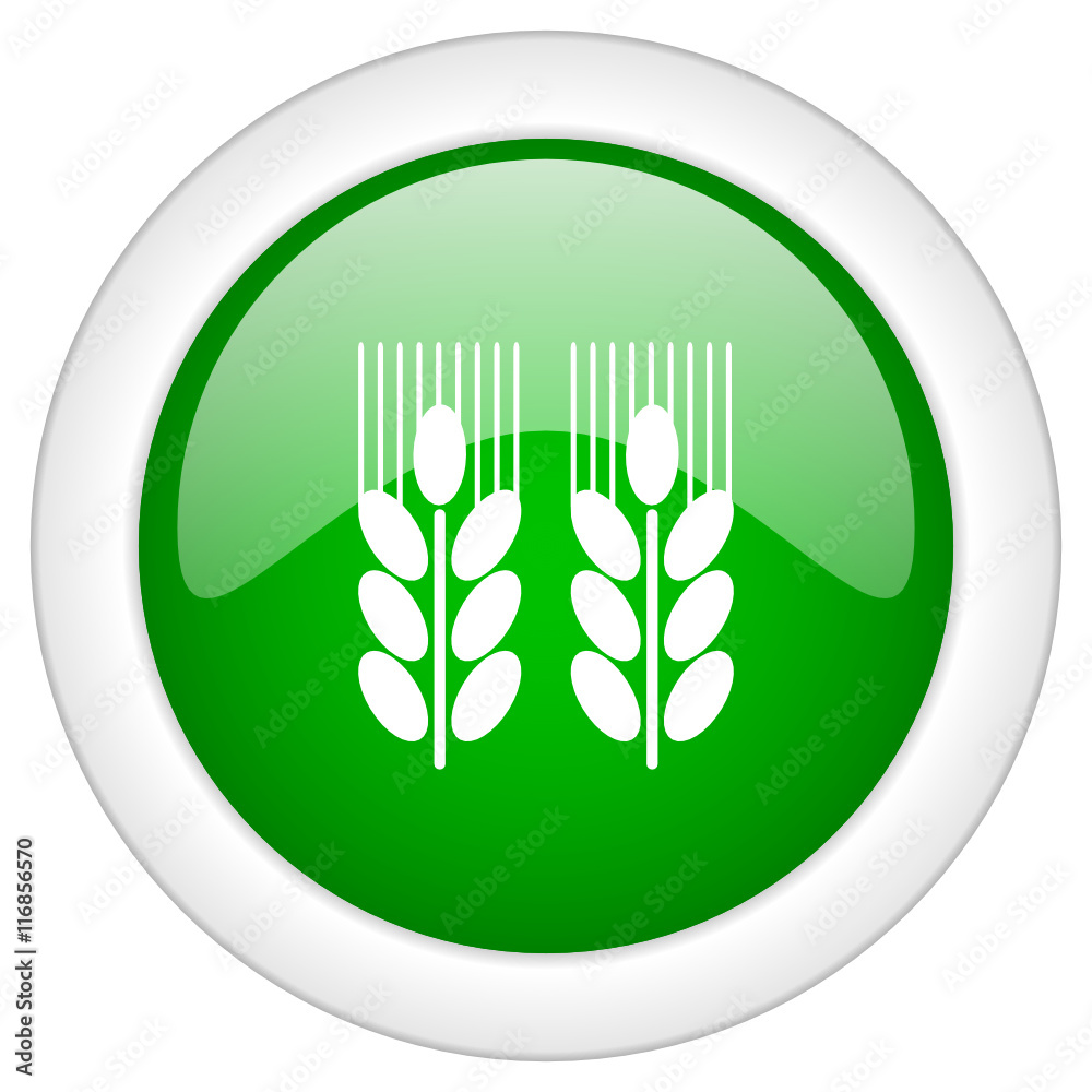 Poster glossy web vector icon