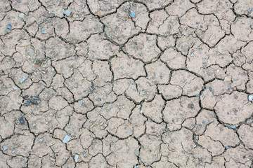 Cracks in the dried soil.