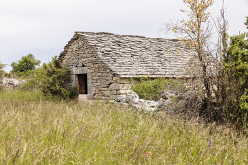 Sheep cage 
