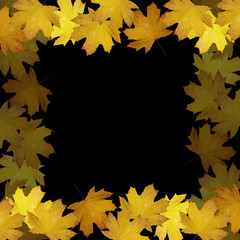 Naklejka na ściany i meble Beautiful autumn background with maple leaves isolated 
