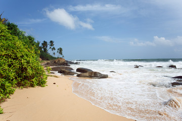 Untouched tropical beach