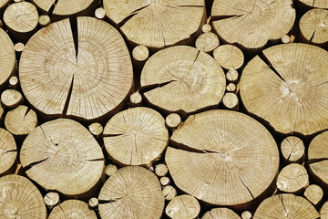 Fototapeta premium .Wooden Log Cabin Wall With Cross Section Rounded Elemen