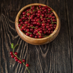 Fresh red currants