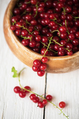 Fresh red currants