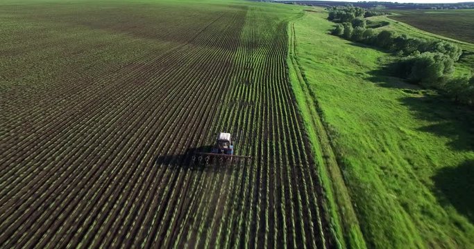 Tractor plowing a field