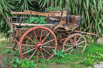 Fototapeta na wymiar old rustic carriage in the grass