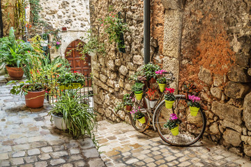Narrow cobbled street with flowers in the old village Tourrettes