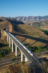 Obraz premium Speed Train