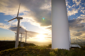 Obraz premium wind energy view