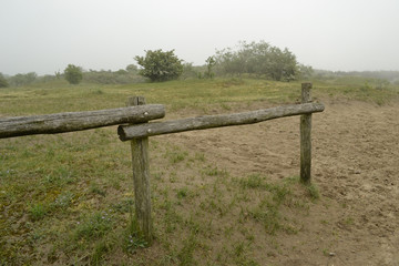 Landschaft