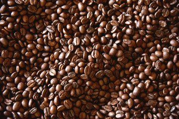 Close-up of coffee beans