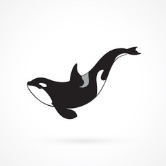 Fototapeta premium orca whale sign on white background