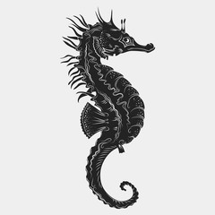 Hand drawn graphic seahorse. Vector illustration. Tattoo sketch. Sea collection. Isolated on a white background © Genzi