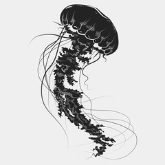 Hand drawn graphic jellyfish. Vector illustration. Tattoo sketch. Sea collection. Isolated on a white background © Genzi