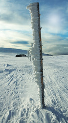 Frosted Snow Stick, Giant Mountains, Czech Republic