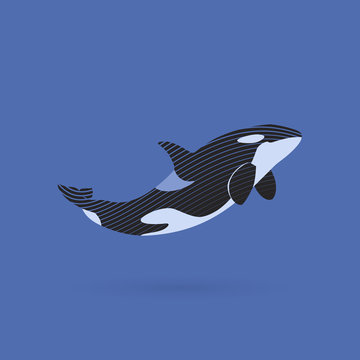 orca killer whale strips sign logo emblem vector illusration on blue background