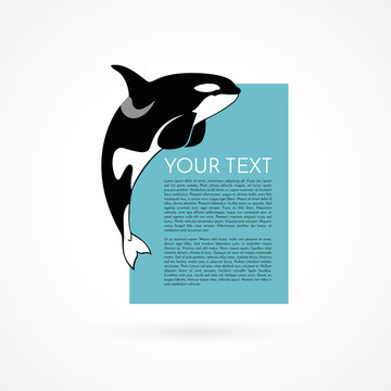 orca whale template frame aquapark on white background