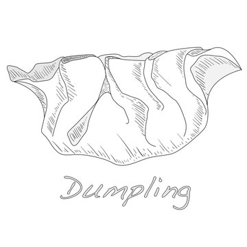 Dumpling vector illustration.
