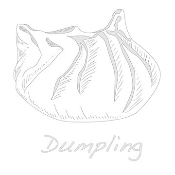 Dumpling vector illustration.
