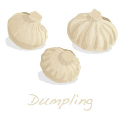Dumpling vector illustration.